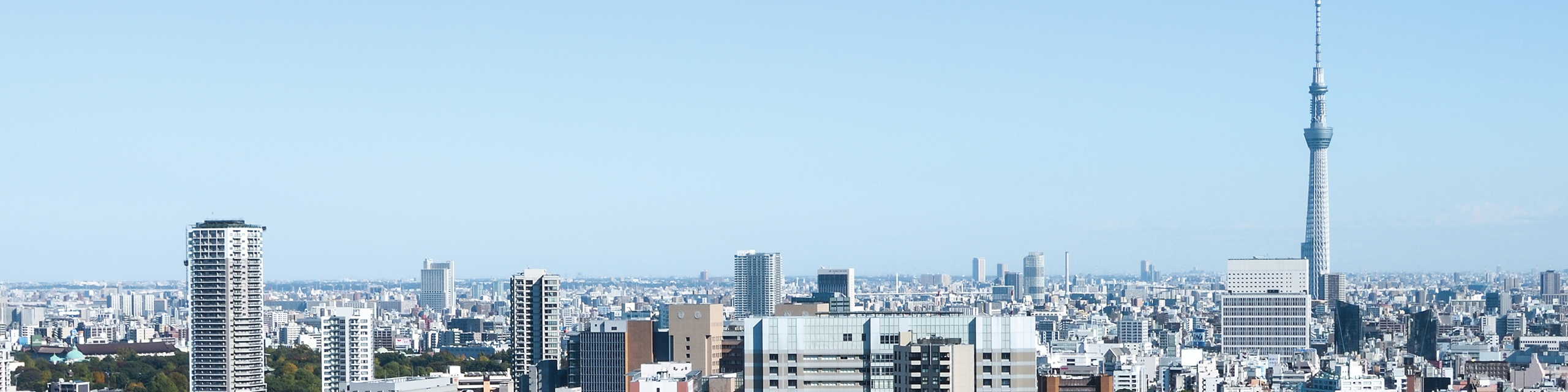 PERSON AND ORGANIZATION TO GROW